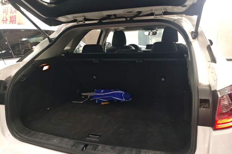 Used Lexus RX 2016 300 Two-Wheel Drive Elite Version China V Standard
