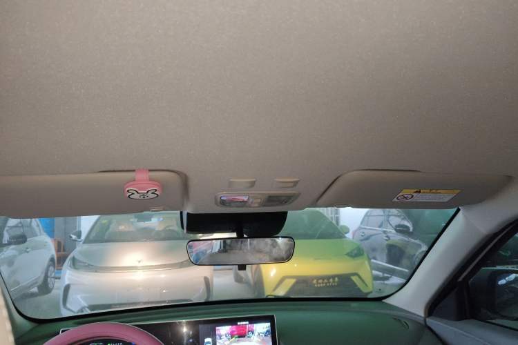 Used ORA White Cat 2020 401 km Flagship Version
