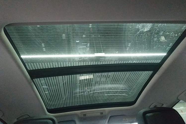 Used Volkswagen Magotan 2020 330TSI DSG Luxury Edition Headliner