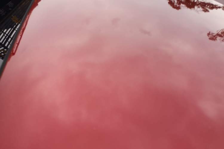 Used Chevrolet Monza 2022 320 Automatic Enjoyment Edition