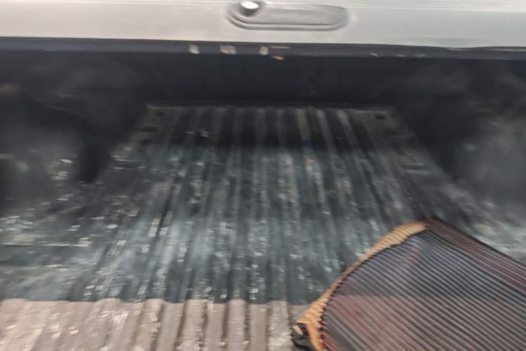 Used Great Wall Poer 2019 2.0T Automatic Gasoline 4x4 Premium Edition GW4C20B
