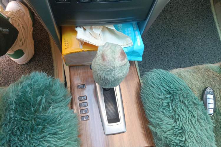 Used Nissan Teana 2011 2.0L XL Comfort Edition Gear Lever