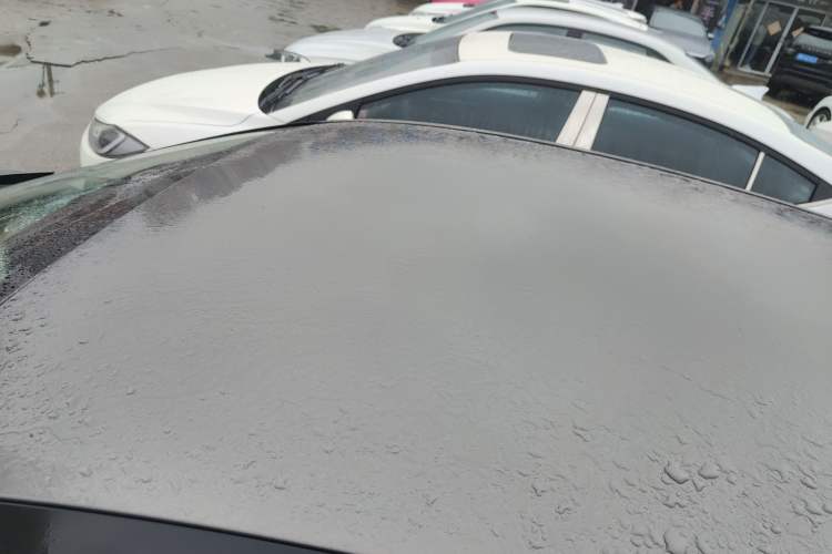 Used Ford Focus 2012 Sedan 1.6L Automatic Comfort Model Roof