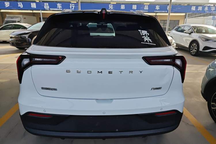 Used Geometry E Firefly 2022 401KM Lightning Tiger 4-Seater