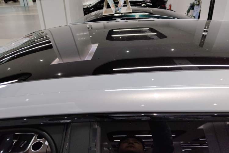 Used Leapmotor C11 2023 Range-Extended 300 Comfort Edition