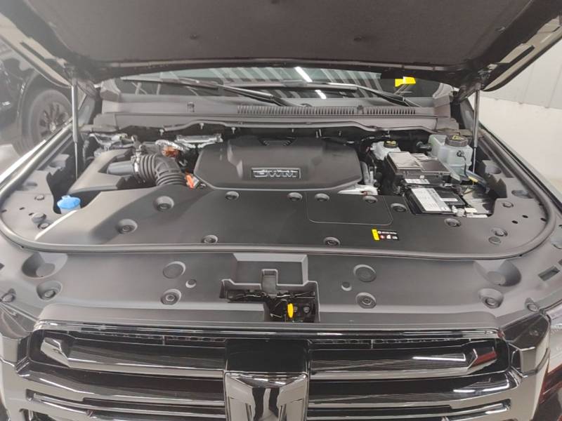 Used Tank 500 New Energy 2024 Hi4-T Black Warrior Edition — 19