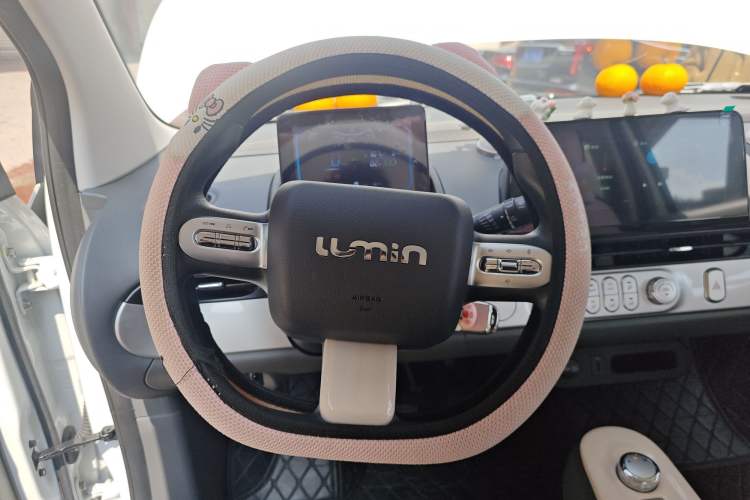 Used Qiyuan Lumin 2023 205km Xiangqin Version