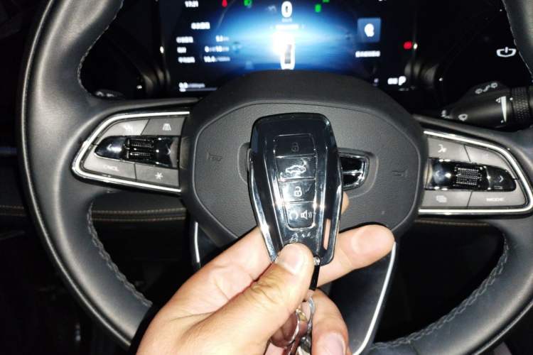 Used Geely Auto Monjaro L 2024 2.0TD DCT EVO Two-Wheel Drive Long-Range Version
