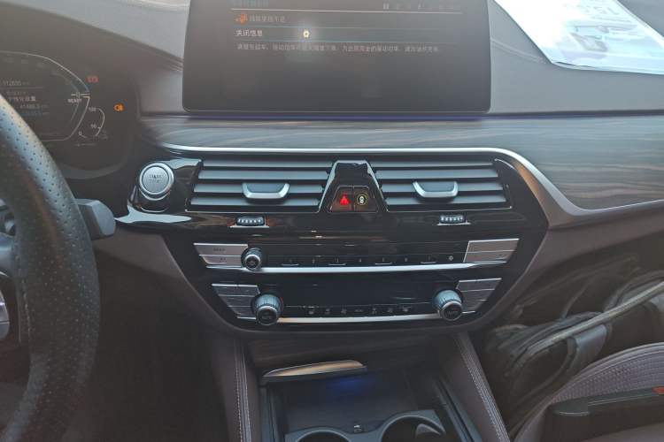 Used BMW 5 Series New Energy 2020 530Le Luxury Package
