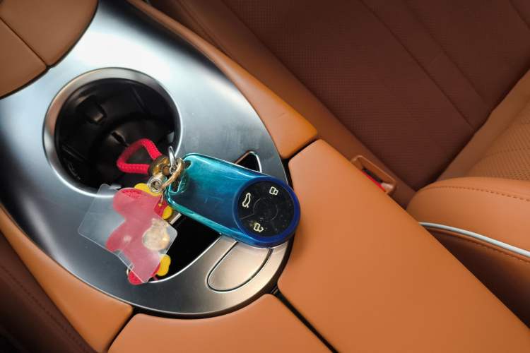 Used ORA Lightning Cat 2022 555 km Luxury Edition Interior 1