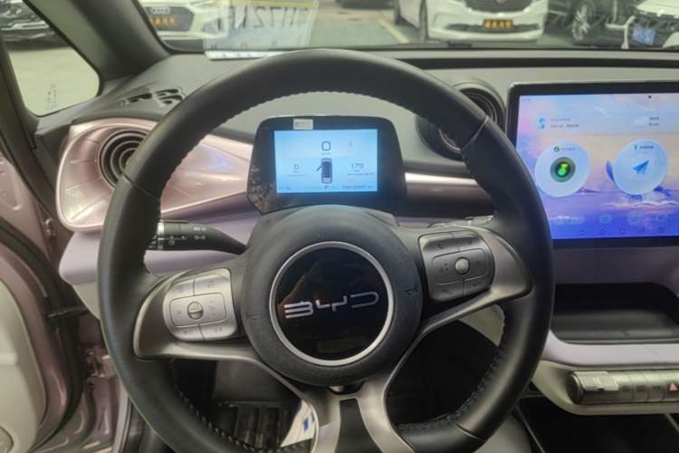 Used BYD Dolphin 2023 420 km Free Version
