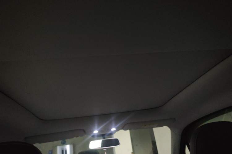 Used Leapmotor T03 2021 400 Comfort Edition Headliner