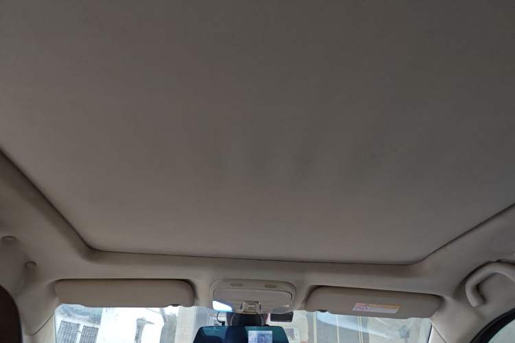 Used Soueast DX7 2018 1.5T Automatic Glory Edition Headliner