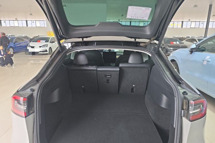 Used Tesla Model Y 2021 Standard Range Rear-Wheel Drive Version
