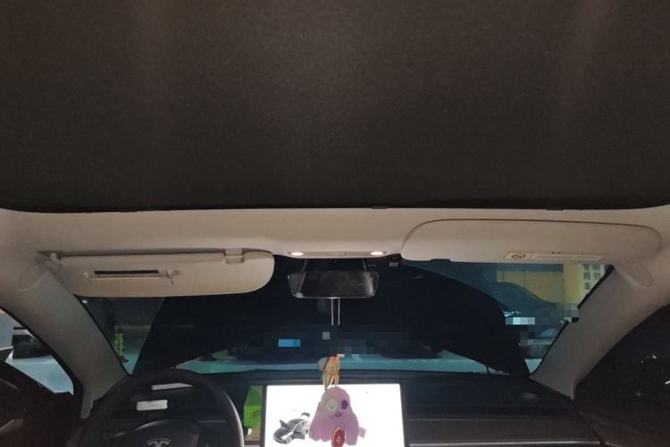 Used Tesla Model 3 2022 Rear-Wheel-Drive Version Headliner