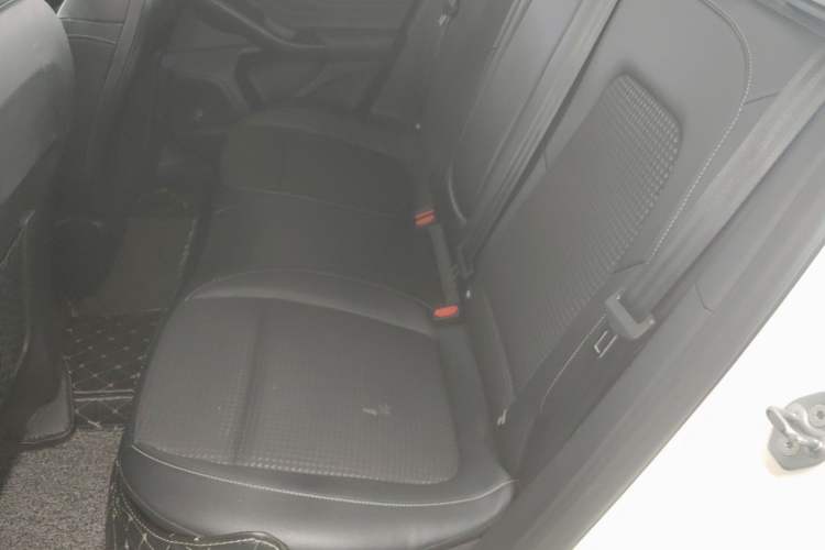 Used Ford Focus 2020 Sedan EcoBoost 180 Automatic Trend Edition Left Rear Seat