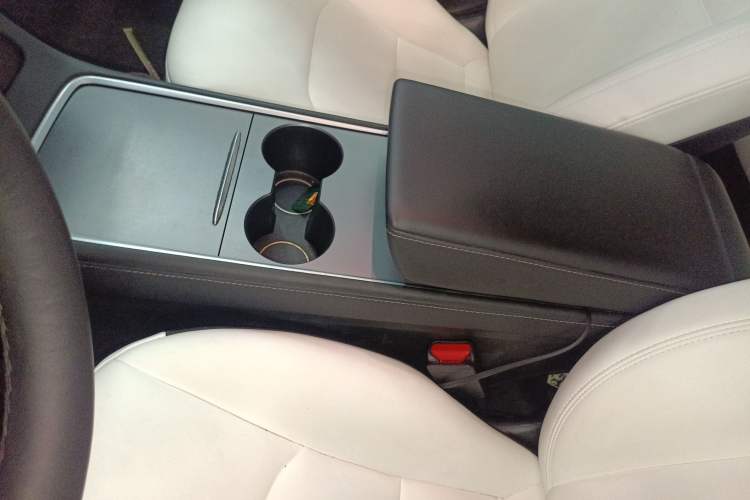 Used Tesla Model 3 2022 Performance High-Performance All-Wheel-Drive Version
