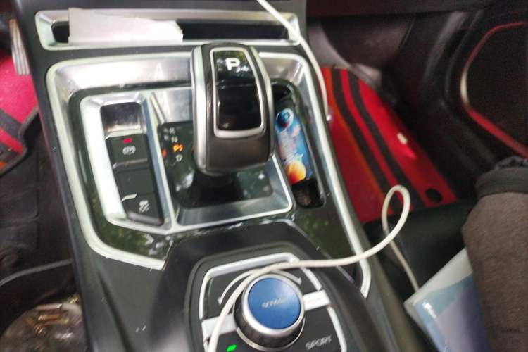 Used Geely Auto Emgrand New Energy 2018 EV450 Prestige Model
