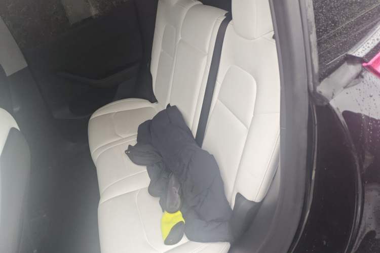 Used Tesla Model Y 2022 Performance High-Performance All-Wheel-Drive Version
