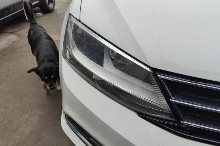 Used Volkswagen Sagitar 2015 1.6L Automatic Comfort Model
