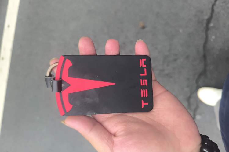 Used Tesla Model Y 2022 Rear-Wheel-Drive Version