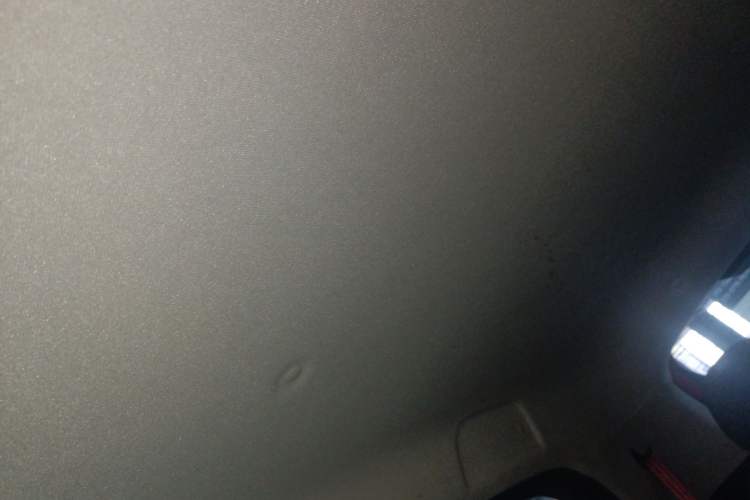 Used ORA Black Cat 2019 301km Standard Edition
