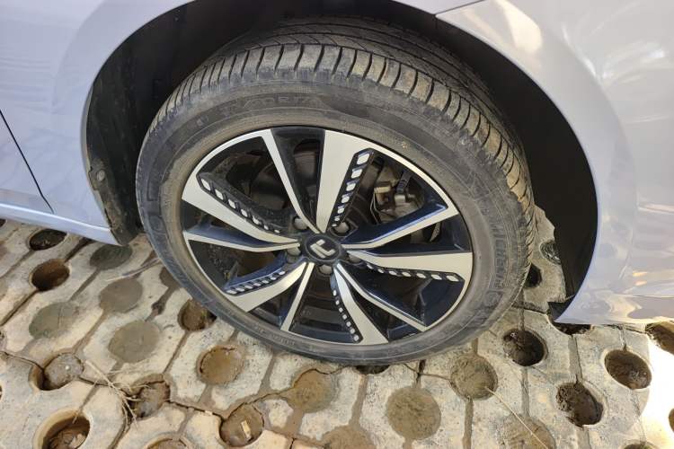 Used Rising ER6 2021 New Dynamic Edition 620km Smart Drive Version