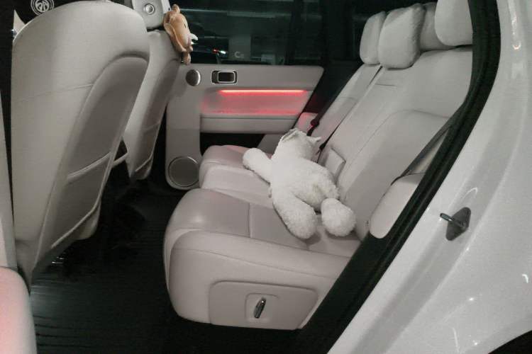 Used Li Auto L6 2024 Pro Model Left Rear Seat