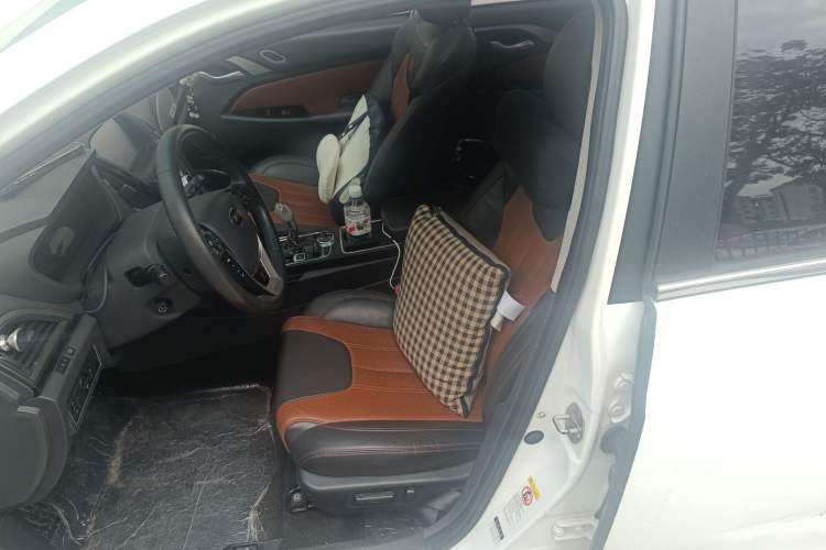 Used BYD Qin New Energy 2015 1.5T Dual-Crown Flagship Plus Edition