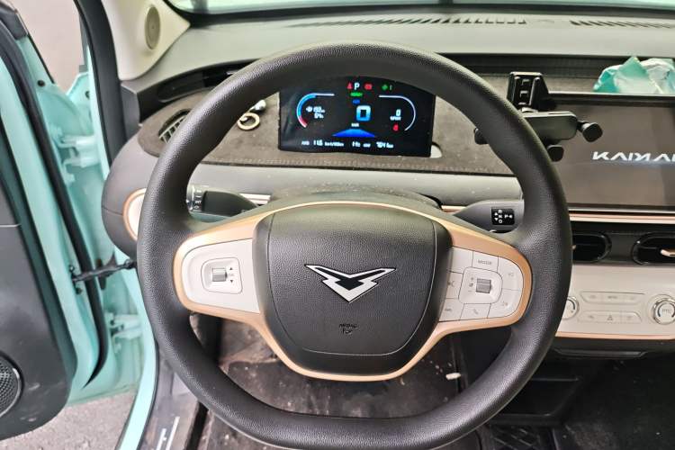 Used Cowin October 2025 Mate 300km Surfing Edition
