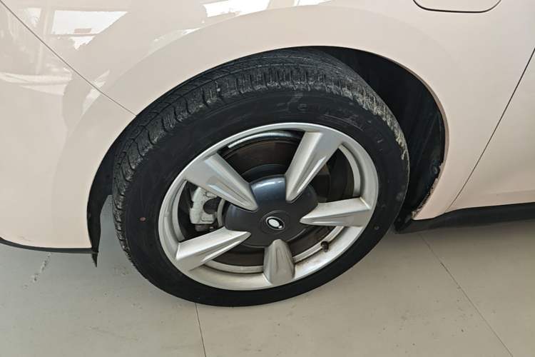 Used ORA Good Cat 2023 401 km Standard Range Luxury Version Lithium Iron Phosphate
