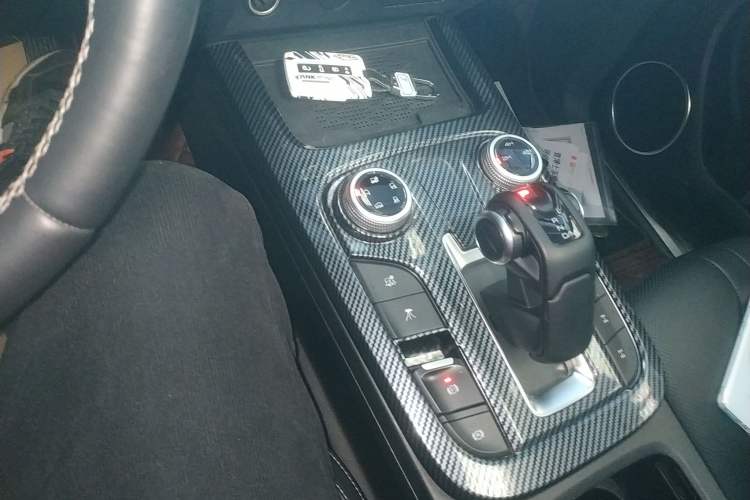 Used Tank 300 2024 2.0T Conqueror Gear Lever