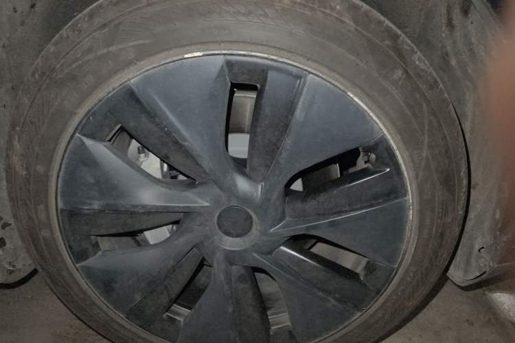 Used Tesla Model Y 2024 Rear-Wheel-Drive Version