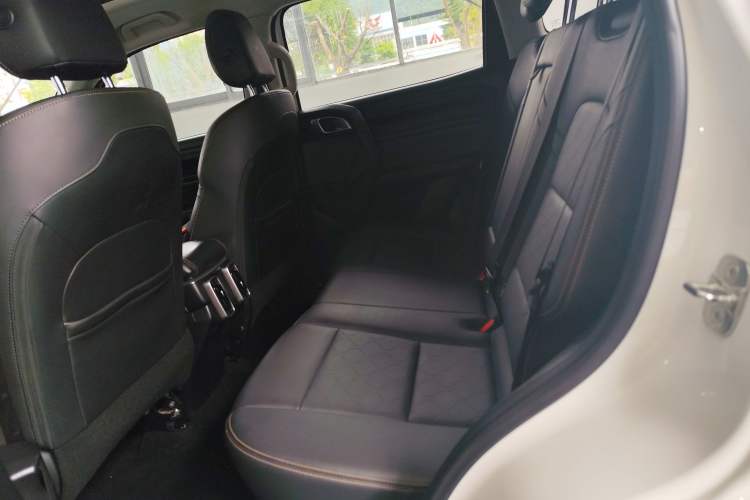 Used Haval DARGO 2021 1.5T DCT Two-Wheel Drive Labrador Edition Left Rear Seat