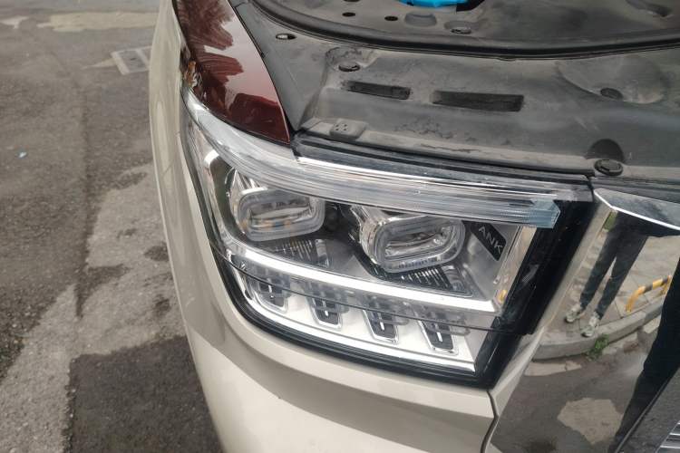 Used Tank 500 2022 3.0T High-End Custom Edition 5 Seats