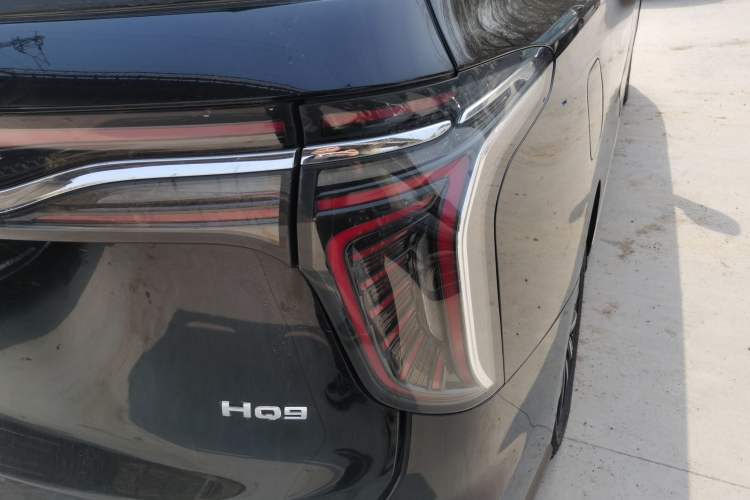 Used Hongqi HQ9 2023 2.0T Smart Connect Flagship Edition Exterior 3