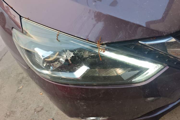 Used Nissan Sylphy 2019 1.6XV CVT Smart Connect Luxury Edition China VI Standard
