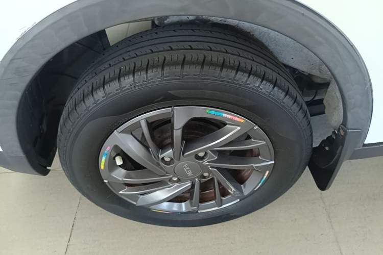 Used NETA V 2021 Standard Range Entertainment Edition