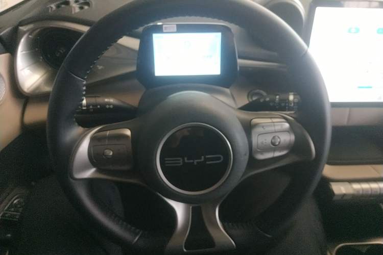 Used BYD Dolphin 2023 420 km Free Version
