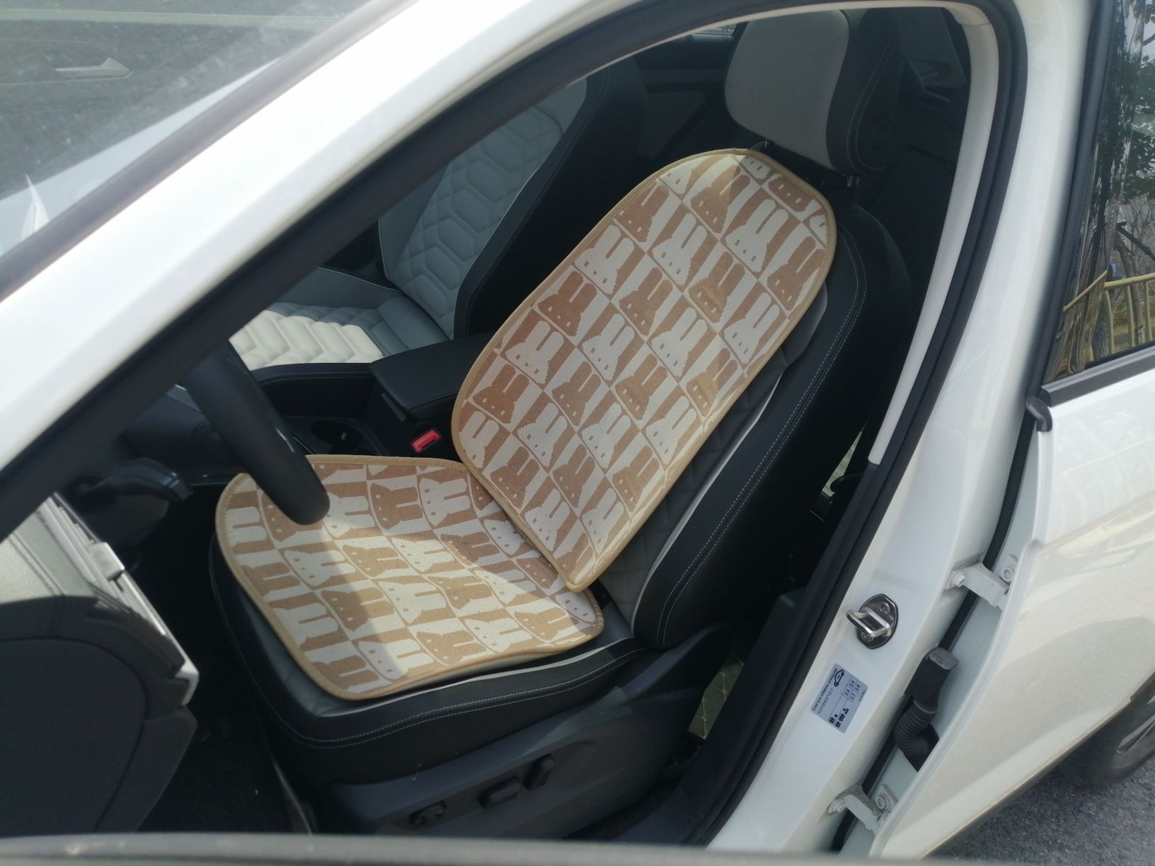 المقاعد الأمامية داخل السيارة