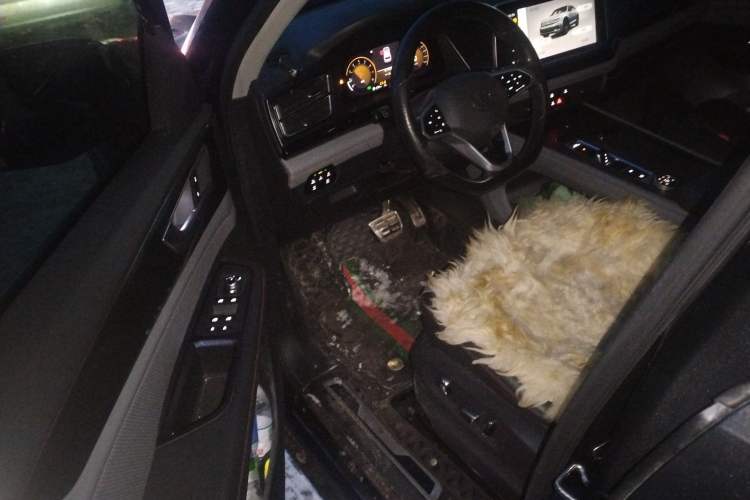 Used Volkswagen Teramont X 2022 380TSI Four-Wheel Drive Luxury Edition Left Front Seat