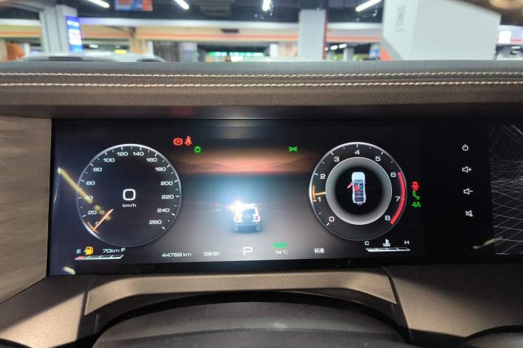 Used Tank 300 2024 2.0T Crosser
