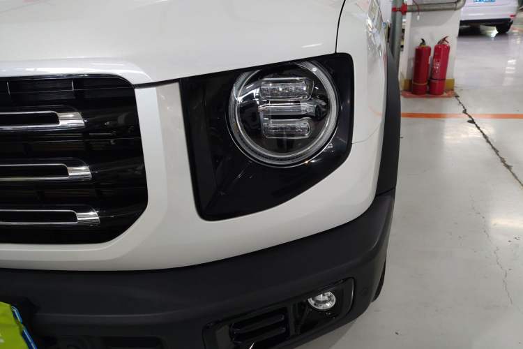 Used Haval DARGO 2021 2.0T DCT 4x4 Chinese Rural Dog Edition