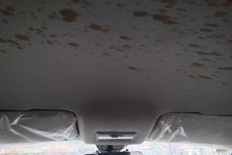 Used BAW Ruisheng Ace M7 2023 2.0L Long Wheelbase Entrepreneur Edition 2 Seats