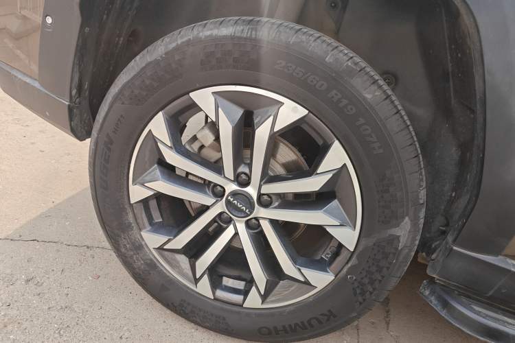 Used Haval H Dog 2023 2.0T All-Wheel-Drive Chaoye Plus