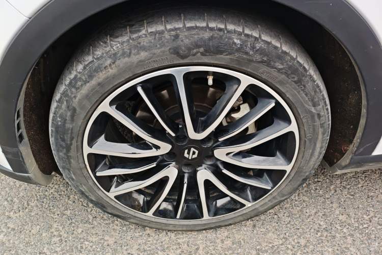 Used Leapmotor C11 2021 Zhixing Edition 510