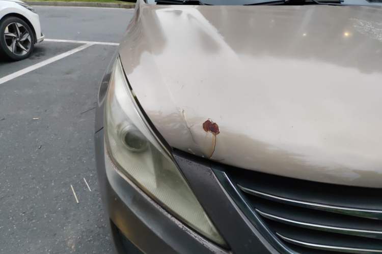 Used FORTHING Joyear S50 2014 1.5L Manual Luxury Edition
