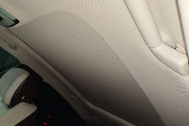 Used Hongqi H9 2022 2.0T Smart Connect Flagship Edition Headliner