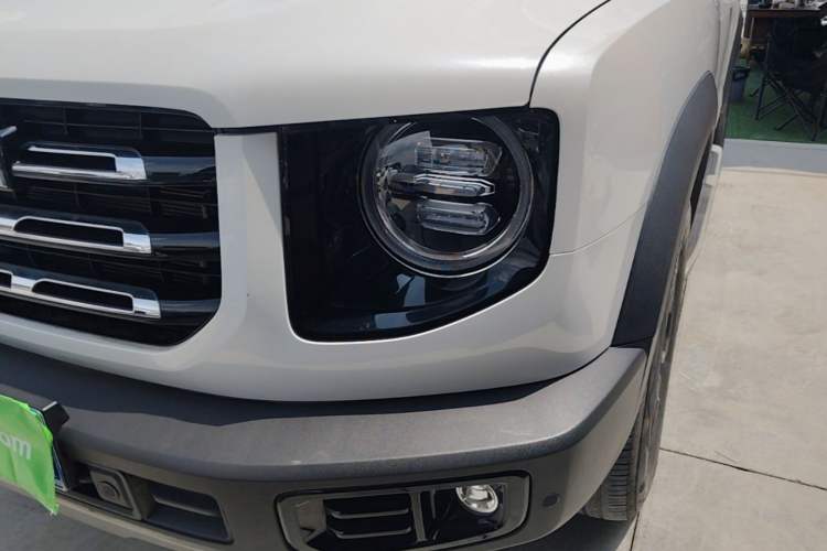 Used Haval DARGO 2021 2.0T DCT 4x4 Chinese Rural Dog Edition