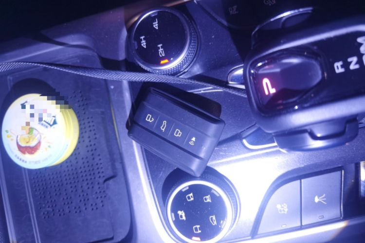 Used Tank 300 2024 2.0T Conqueror